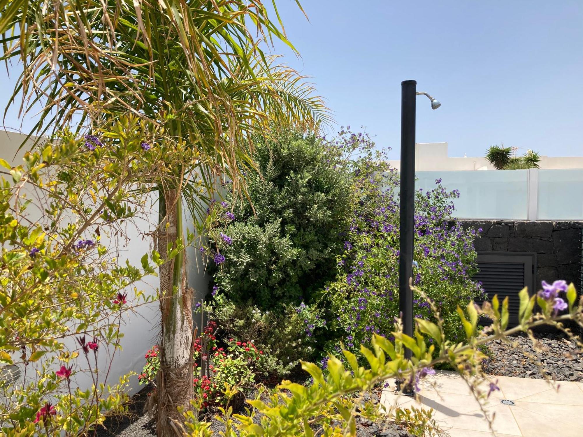 Casa Alice Villa Playa Blanca  Værelse billede
